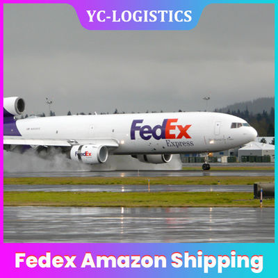 Fedex porte-à-porte Amazone CZ CX PAR l'agent de fret aérien de DDU