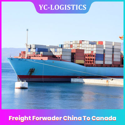 Commissionnaire de transport exprès de la porte DDP de la mer CAF Chine vers le Canada