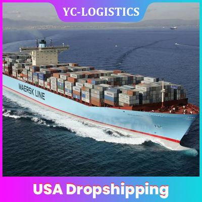 Fret maritime fournisseurs Dropshipping de 25 à 35 jours DDP USA