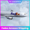 Air expérimenté de expédition de Profesional Fedex Amazone vers le Maroc Ddp porte-à-porte