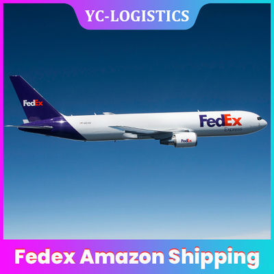 La livraison de DDP Amazone Fedex