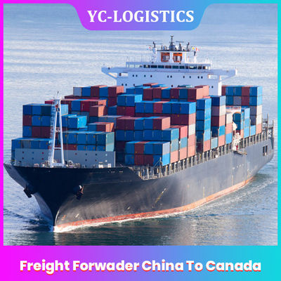 3 à 17 agent maritime China To Canada, commissionnaire des jours DDP DDU de transport de FBA de Shenzhen Amazone