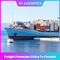 Commissionnaire de transport exprès de la porte DDP de la mer CAF Chine vers le Canada
