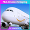 Service international bon marché de commissionnaire de transport de FBA de fret aérien de Chine
