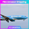 Agent maritime To Etats-Unis de FBA d'Amazone de service de distribution porte-à-porte de fret aérien